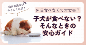 子犬　ご飯食べない　元気　何日