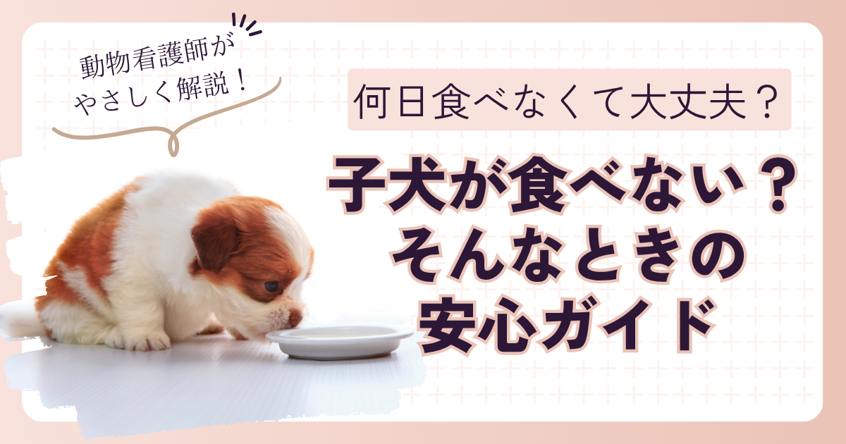 子犬　ご飯食べない　元気　何日