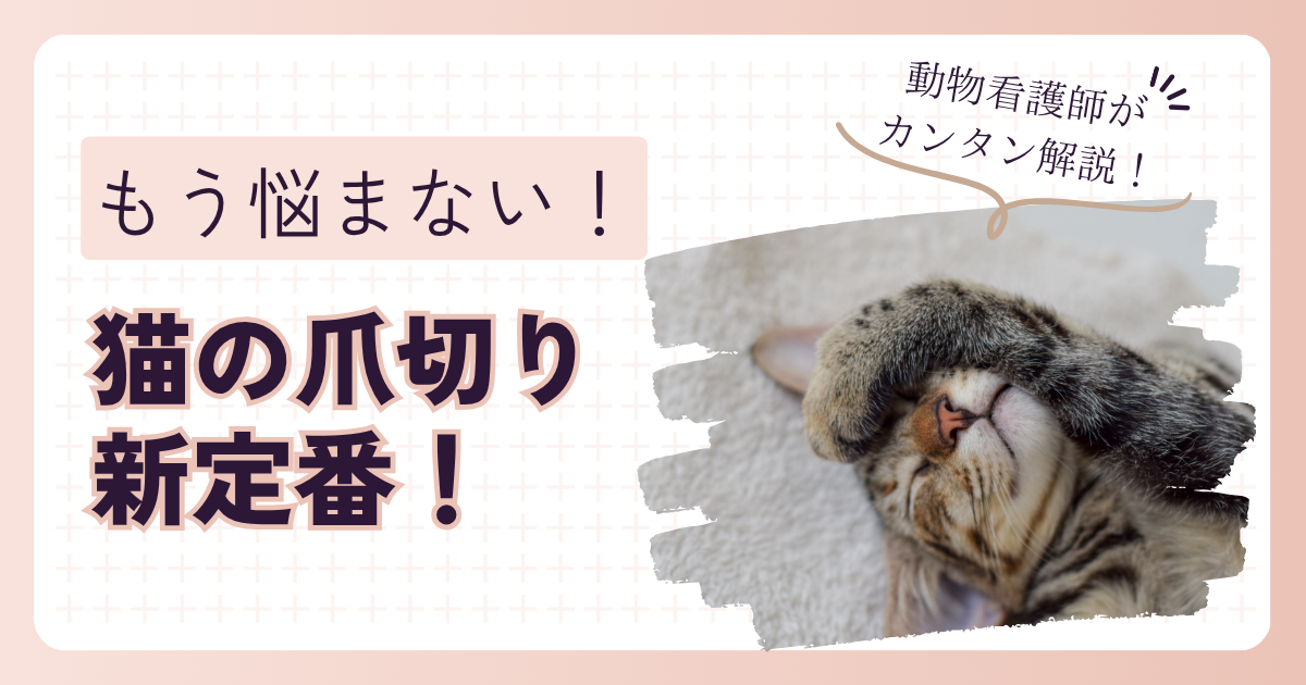 猫　爪切り　病院　頻度